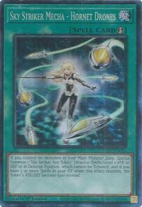 Sky Striker Mecha - Hornet Drones (CR): Justice Hunters