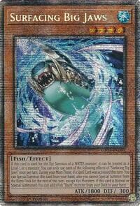 Surfacing Big Jaws: 2025 Mega-Pack