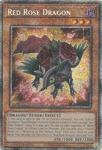 Red Rose Dragon: 2025 Mega-Pack