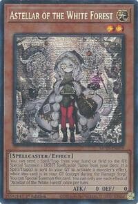 Astellar of the White Forest: 2025 Mega-Pack