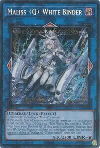 Maliss Q White Binder: 2025 Mega-Pack