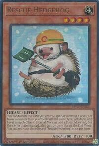 Rescue Hedgehog: 2025 Mega-Pack