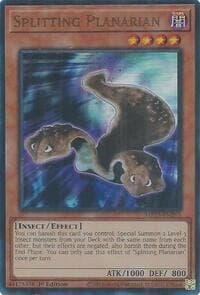 Splitting Planarian: 2025 Mega-Pack