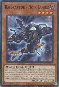 Raidraptor - Noir Lanius: 2025 Mega-Pack