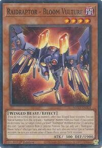 Raidraptor - Bloom Vulture: 2025 Mega-Pack