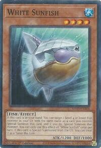 White Sunfish: 2025 Mega-Pack