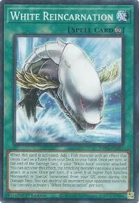 White Reincarnation: 2025 Mega-Pack