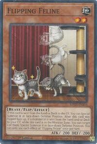 Flipping Feline: 2025 Mega-Pack