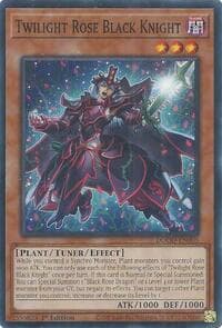 Twilight Rose Black Knight: Doom of Dimensions
