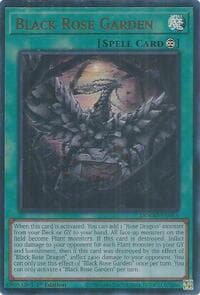 Black Rose Garden: Doom of Dimensions