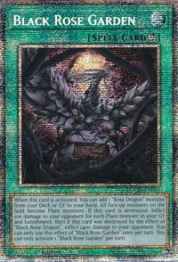 Black Rose Garden (Starlight Rare): Doom of Dimensions