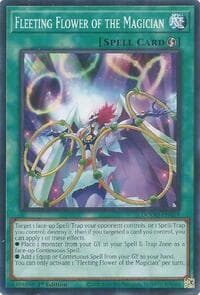Fleeting Flower of the Magician: Doom of Dimensions
