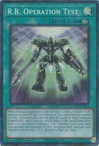 R.B. Operation Test: Doom of Dimensions