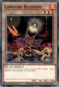 Lonefire Blossom: Legendary 5D's Decks