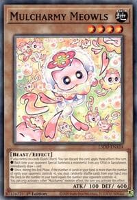 Mulcharmy Meowls: Legendary 5D's Decks