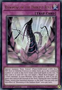 Blooming of the Darkest Rose: Legendary 5D's Decks