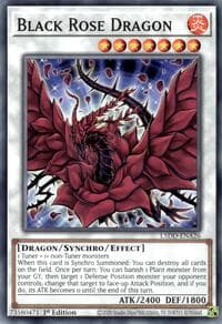 Black Rose Dragon: Legendary 5D's Decks