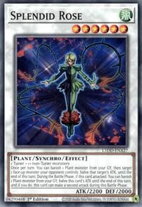 Splendid Rose: Legendary 5D's Decks