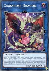 Crossrose Dragon: Legendary 5D's Decks