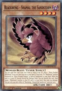 Blackwing - Shamal the Sandstorm: Legendary 5D's Decks