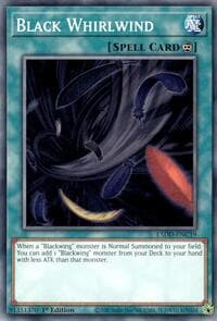 Black Whirlwind: Legendary 5D's Decks