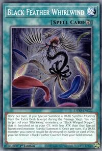 Black Feather Whirlwind: Legendary 5D's Decks