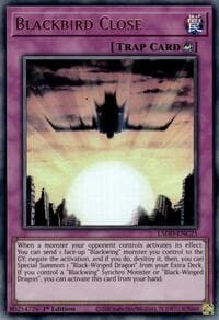 Blackbird Close: Legendary 5D's Decks