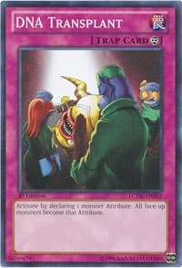 DNA Transplant: Legendary Collection 3: Yugi's World