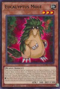 Eucalyptus Mole: Maze of Muertos
