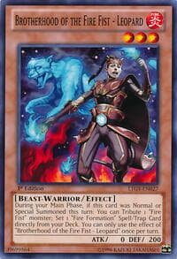 Brotherhood of the Fire Fist - Leopard: Lord of the Tachyon Galaxy