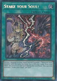 Stake your Soul! (Secret Rare): Rarity Collection 5