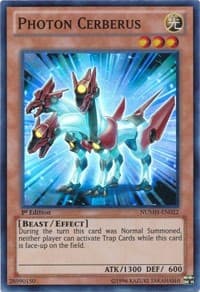 Photon Cerberus: Number Hunters