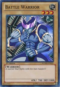 Battle Warrior: Number Hunters