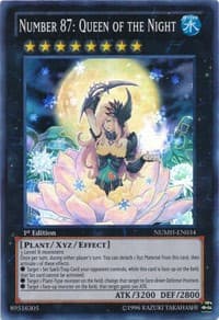 Number 87: Queen of the Night: Number Hunters