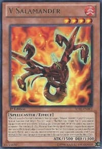 V Salamander: Judgment of the Light