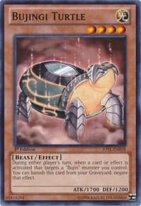 Bujingi Turtle: Judgment of the Light