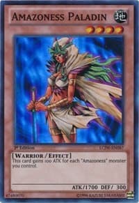 Amazoness Paladin: Legendary Collection 4: Joey's World