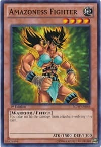 Amazoness Fighter: Legendary Collection 4: Joey's World