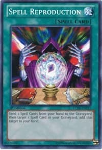 Spell Reproduction: Legendary Collection 4: Joey's World
