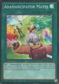 Adamancipator Mates: Beyond the Brave