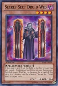 Secret Sect Druid Wid: Shadow Specters