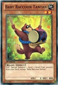 Baby Raccoon Tantan: Shadow Specters