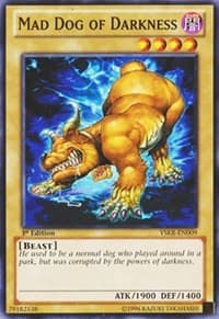 Mad Dog of Darkness: Starter Deck: Kaiba Reloaded