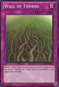Wall of Thorns: Astral Pack 3