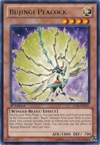 Bujingi Peacock: Legacy of the Valiant