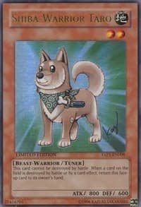 Shiba-Warrior Taro: Anniversary Pack