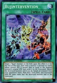 Bujintervention: Legacy of the Valiant