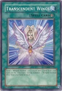 Transcendent Wings: Dark Revelation Volume 4