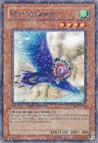 Mist Condor: Duel Terminal 1