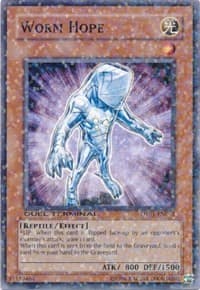 Worm Hope: Duel Terminal 1